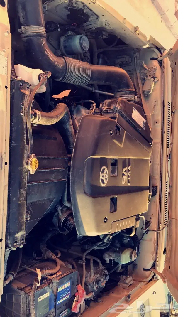 شاص فطيمي  (image 4)