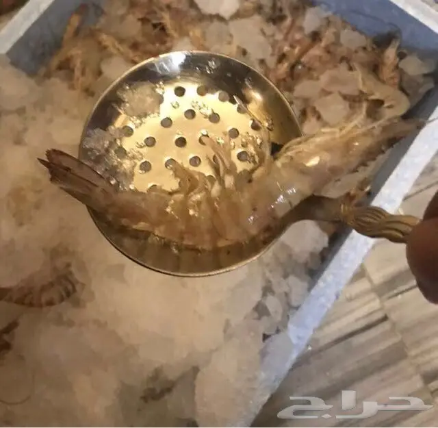 روبيان طازج من سوق الشرقية للأسماك في الرياض