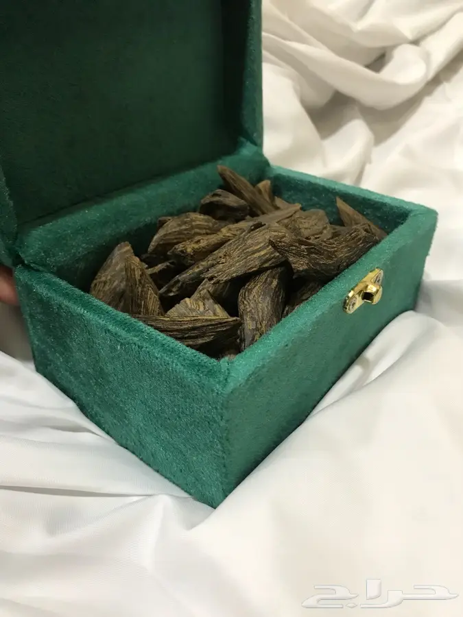 ربع كيلو .. عود مروكي محسن ممتاز (image 5)