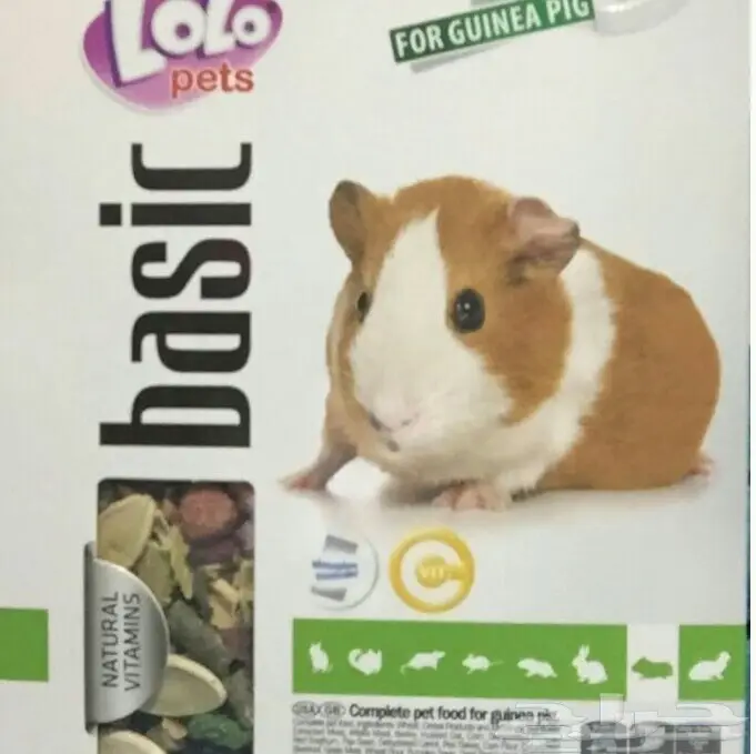 الهمستر و ارانب للبيع (image 3)