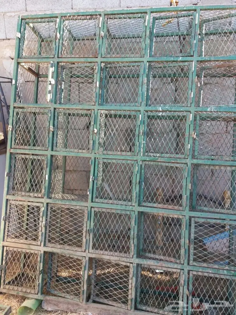 شبك على شكل رفوف