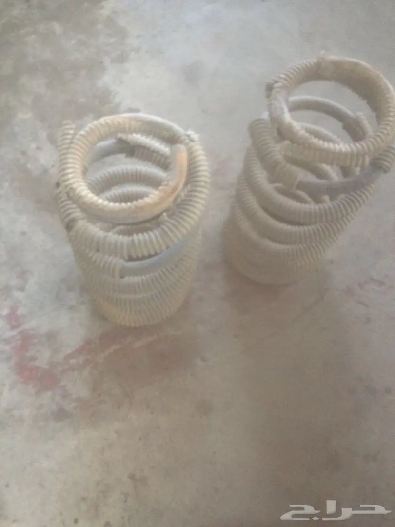 للبيع: ياي استرالي أصلي - جودة ممتازة! (image 2)