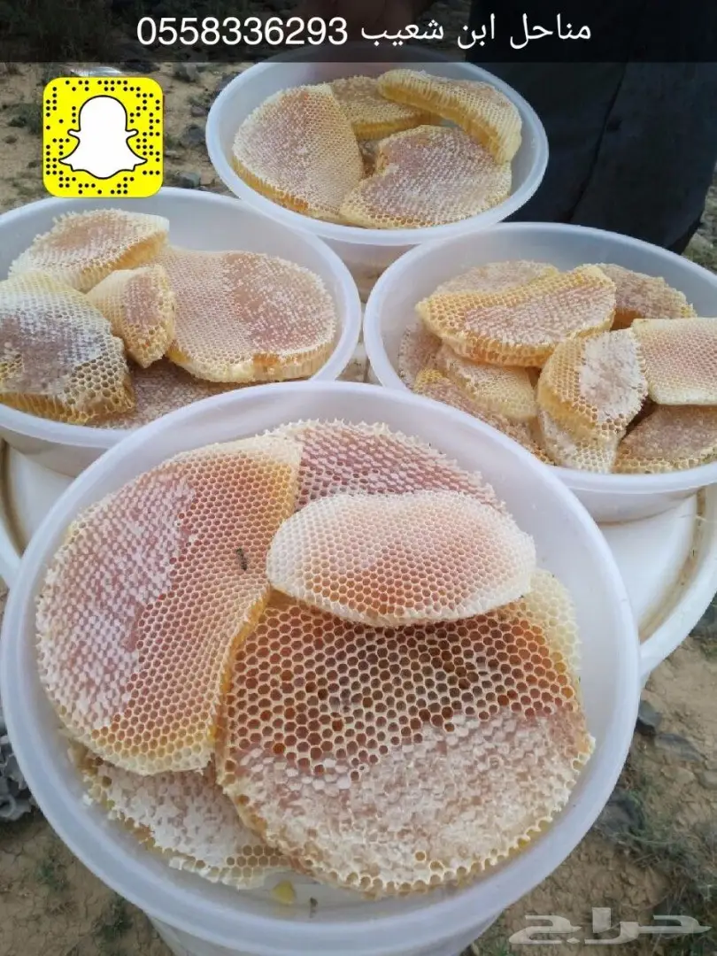 عسل طبيعي سعودي أصيل - من نحل خبير (image 17)