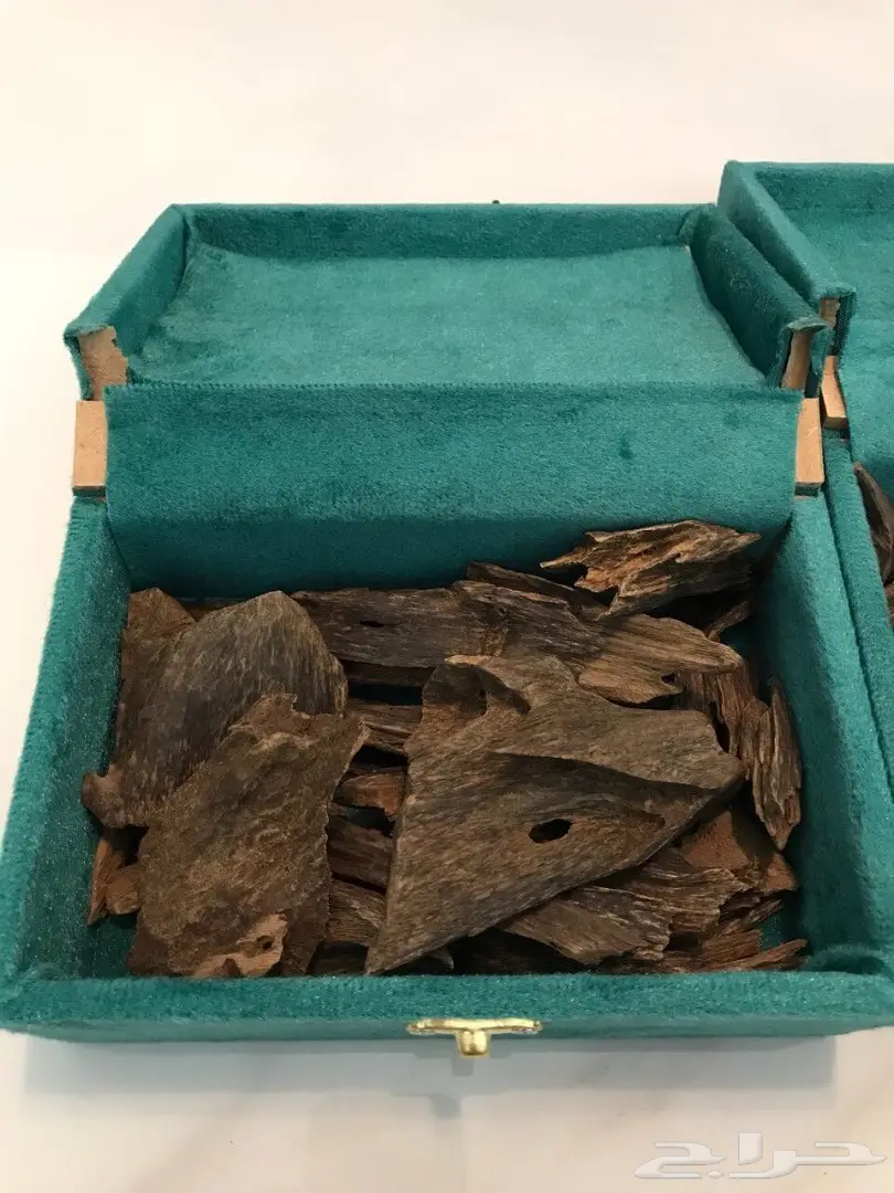 عود كلمنتان تركان دبل سوبر نادر وفاخر (image 1)