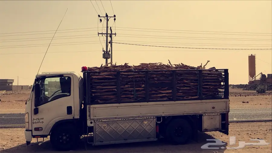 سمر مبروم على الشرط (image 2)