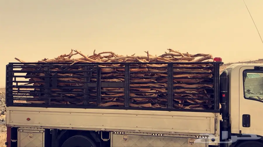 سمر مبروم على الشرط (image 3)