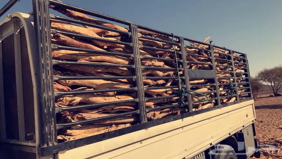 سمر مبروم على الشرط (image 1)