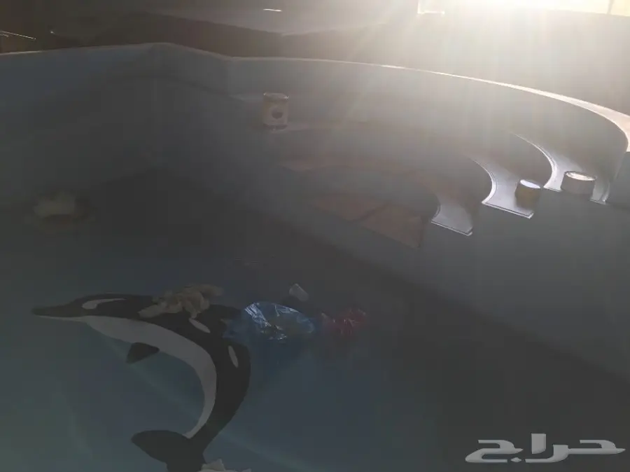 شركة AMC مسابح فيبر جلاس  (image 5)