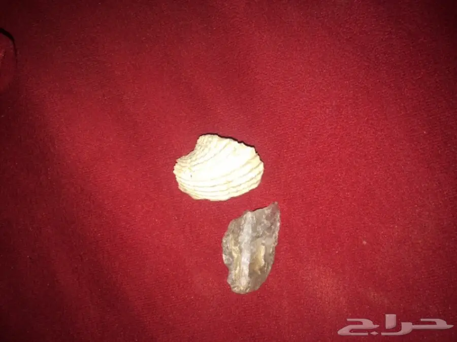 احجار  (image 2)