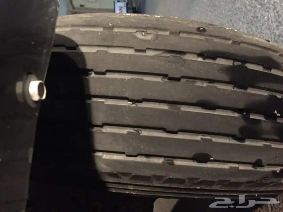 بوالين ماكسس 16