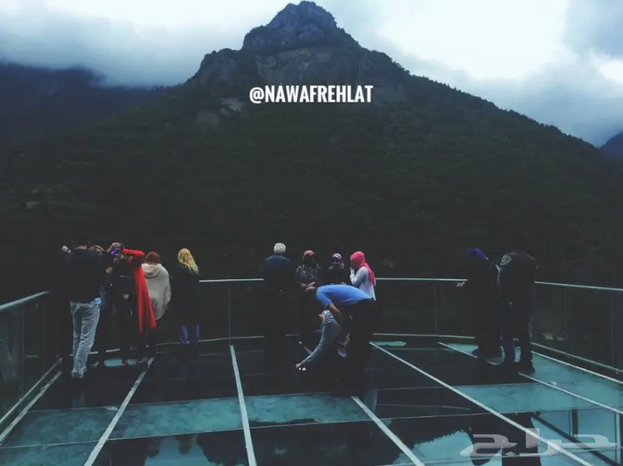 حجوزات الفنادق