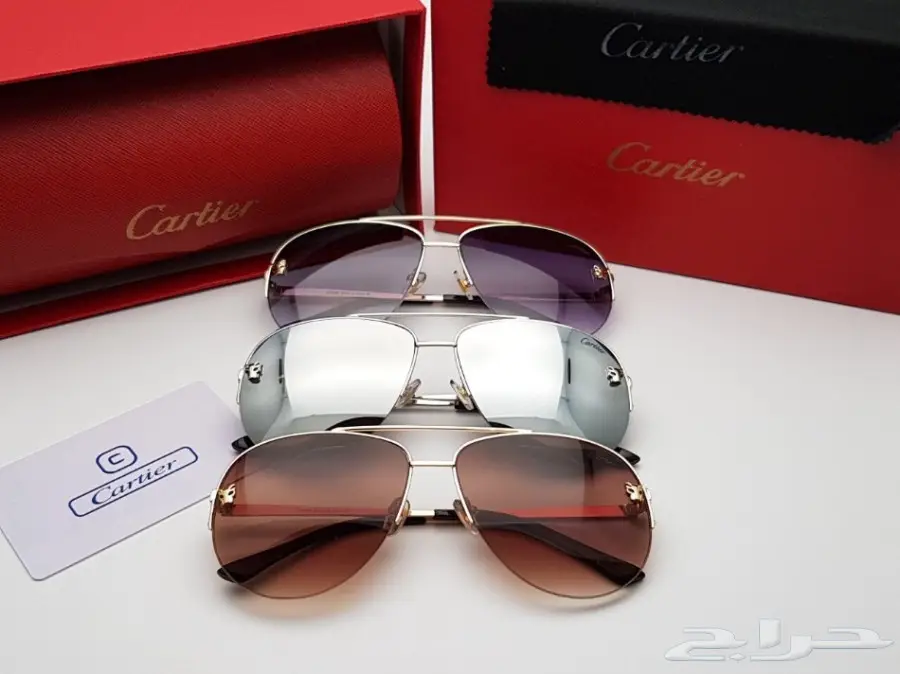 نظارات شتوية وبراويز طبية 2019 (image 81)