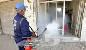 رش مبيدات مكافحة حشرات نمل ابيض صراصير فئران  (image 6)