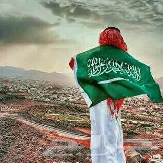 التأمينات (image 0)