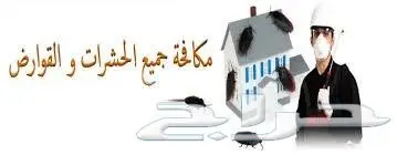 رش مبيدات مكافحة حشرات نمل ابيض صراصير فئران  (image 11)