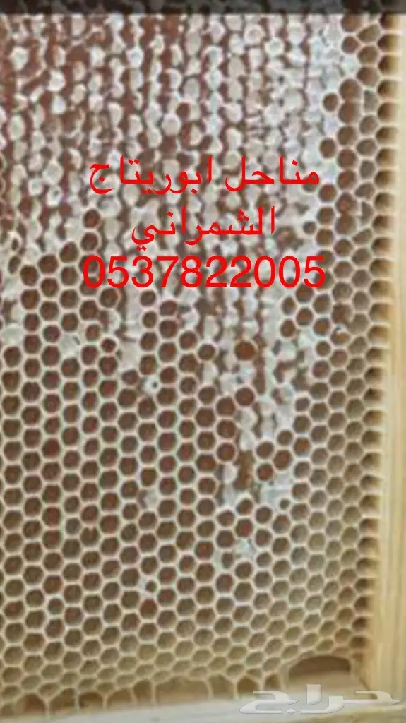 عسل سدر عسل سمر عسل طلح بلدي مفحوص  (image 11)