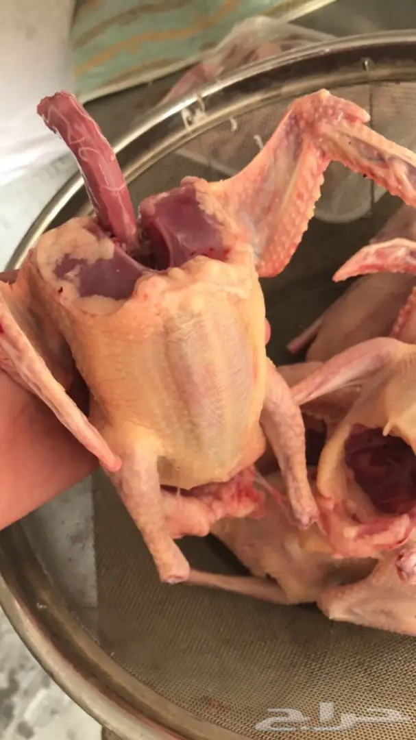 جاهزة للطبخ فروخ و زغاليل  فرنسي .. 