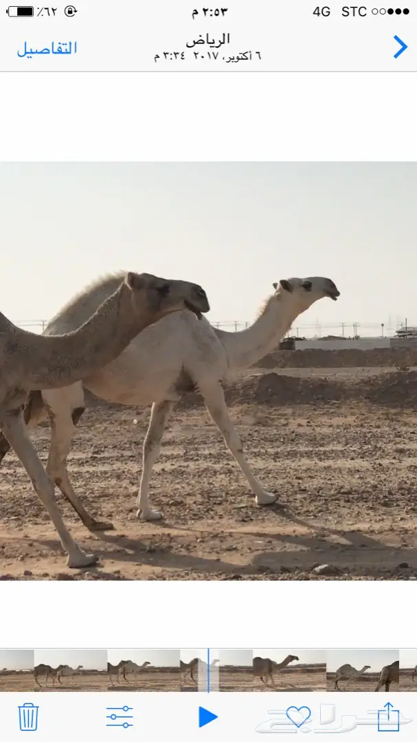 بكره تماميه وضحا  (image 1)