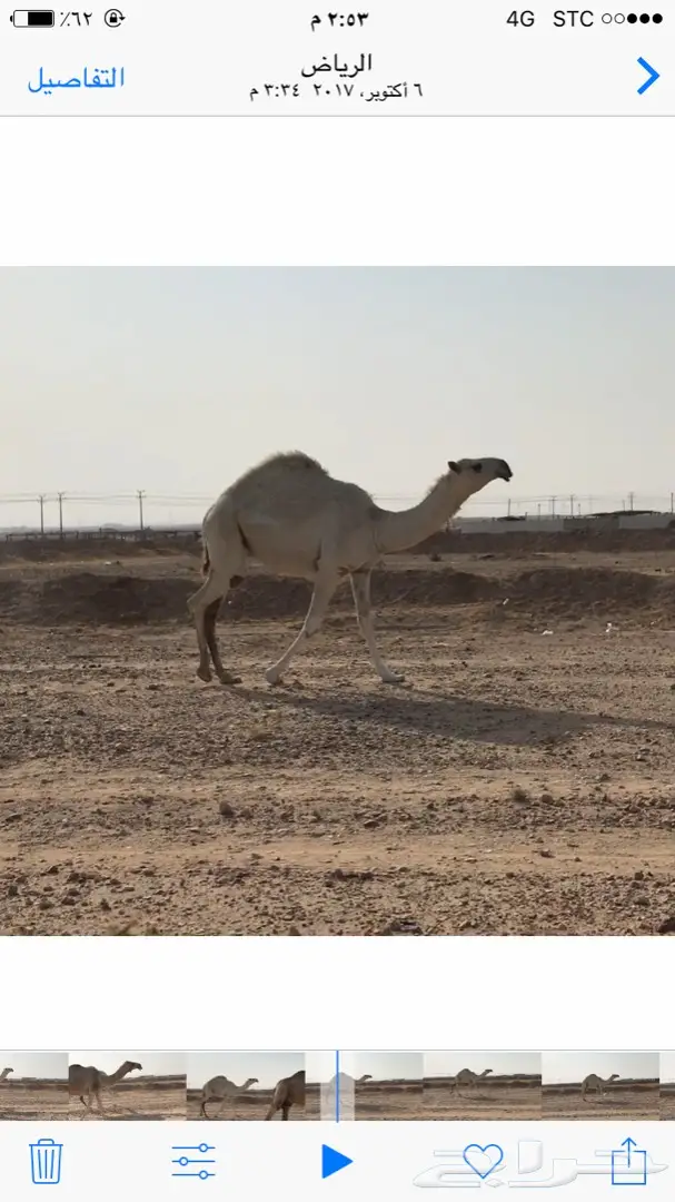 بكره تماميه وضحا  (image 3)