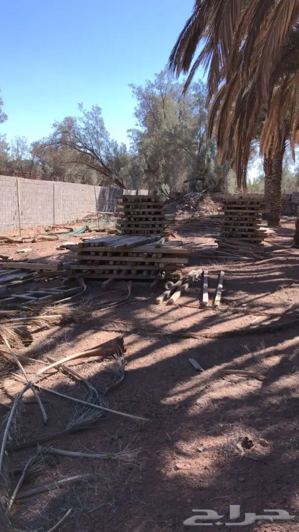 خشب مستعمل للبيع