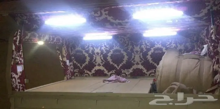 شد تانكي شاصي تويوتا - عرض مميز! (image 4)