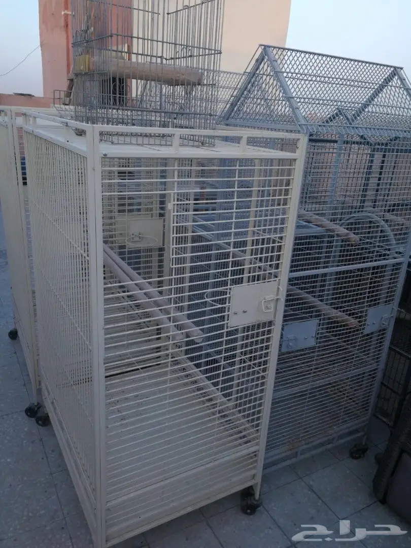 أقفاص مريحة وعالية الجودة - بأسعار مميزة! (image 3)