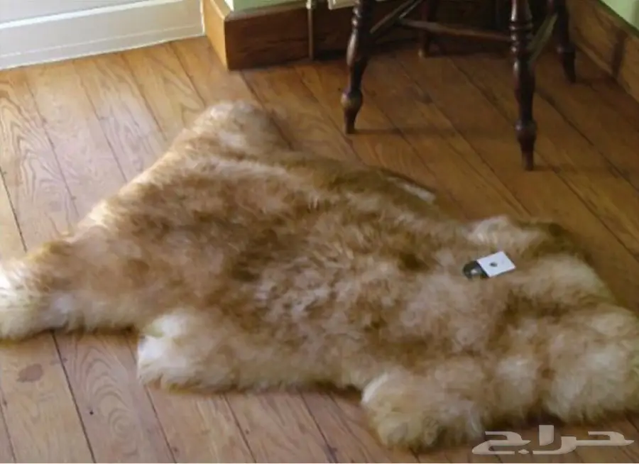 سجاد فرو مجسم (image 4)