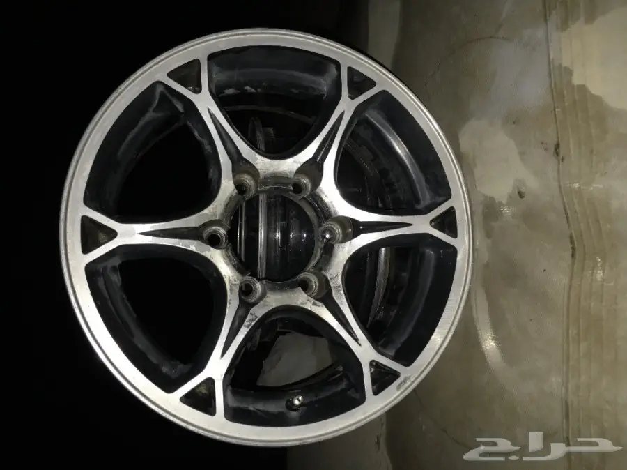 جنوط استراليه  (image 1)