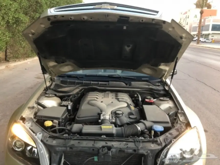 كابرس 2008 م ذهبي نظيف ثاني مالك  (image 12)