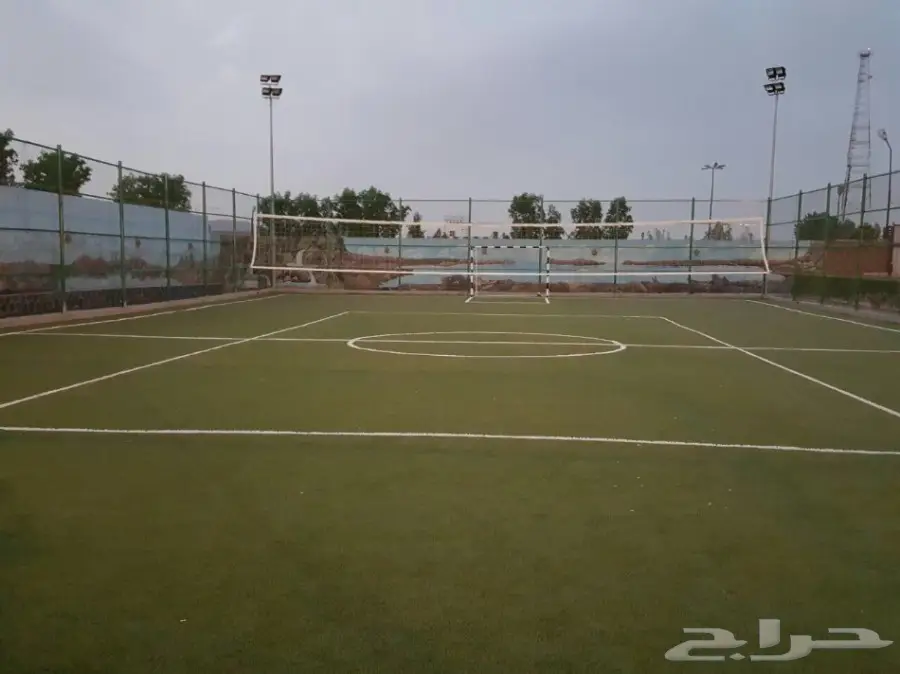 عشب صناعي أرخص الأسعار (image 20)