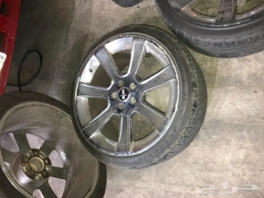 جنوط موستنغ سلين للبيع  (image 3)