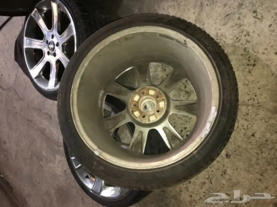 جنوط موستنغ سلين للبيع  (image 5)