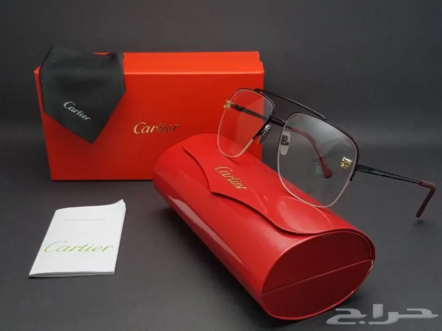 نظارات شتوية وبراويز طبية 2019 (image 398)