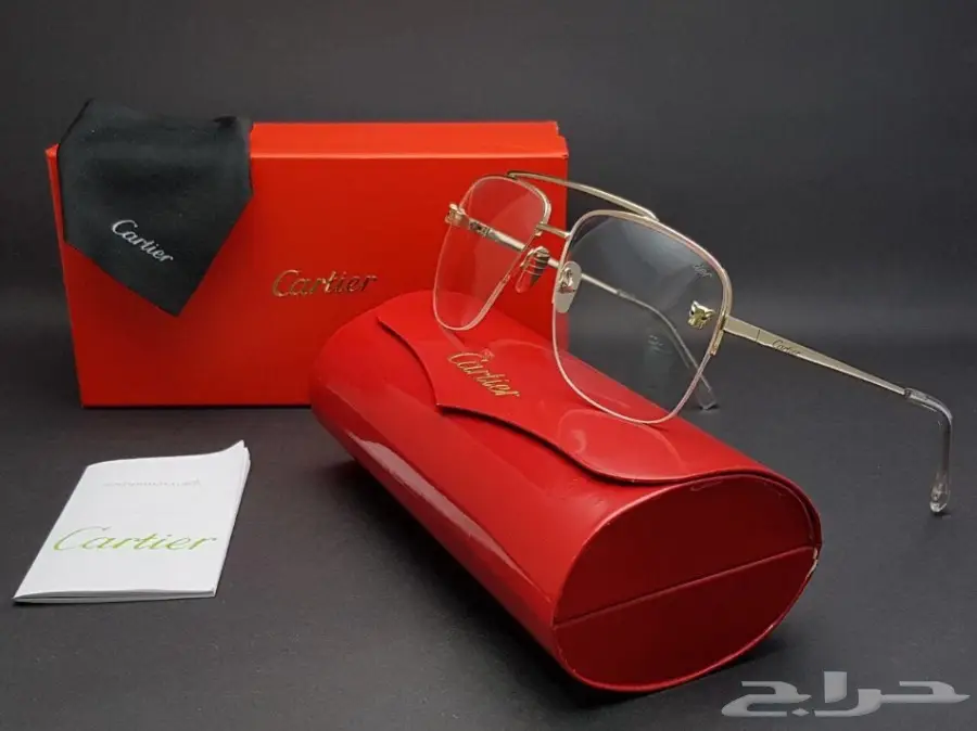 نظارات شتوية وبراويز طبية 2019 (image 402)