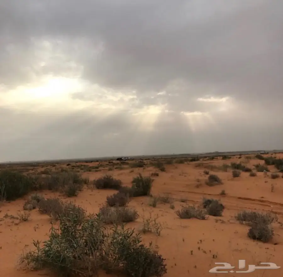 مخيم للايجار في روضة خريم  (image 3)