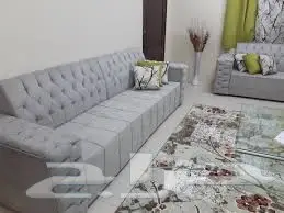 شركة نقل عفش بالرياض مكافحة حشرات غسيل منازل 