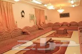شركة غسيل فرشات كنب سجاد موكيت خزانات شقق فلل (image 2)