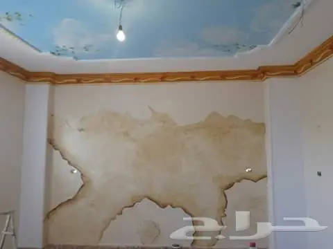 ورق جدران. رسام محترف جدااا (image 8)