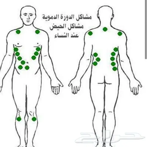 حجام بالرياض فك قاولون وصداع ابهر (image 3)