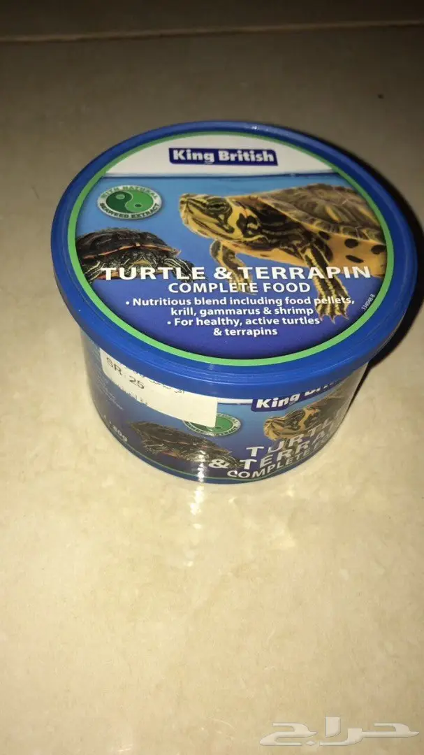 سلحفاة للبيع (image 3)