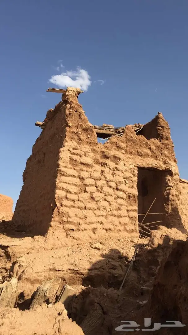 ايواء الرمك والامهار في الجنادرية  (image 1)