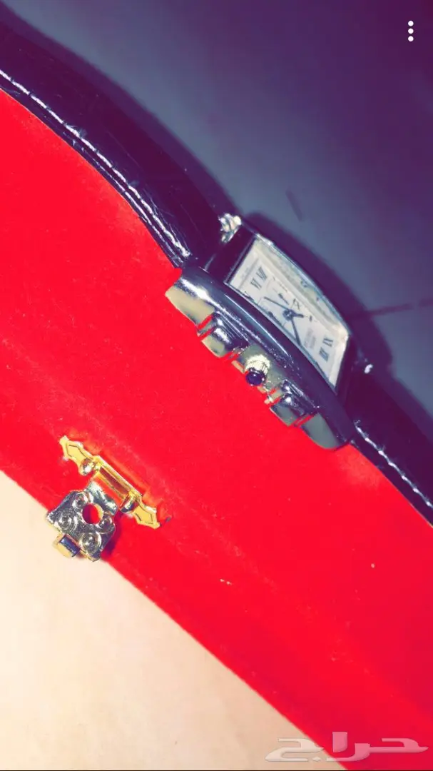 ساعة كارتير درجة أولى - فرصة لا تُفوّت! (image 4)