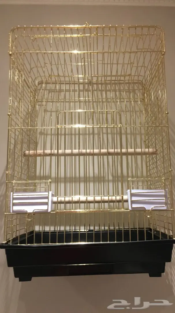 قفص كبير قمته الاساسيه 150 ريال (image 1)