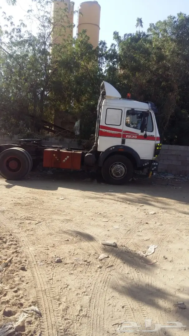 للبيع: برسيم طازج من المزارع - الجنوب والدواسر