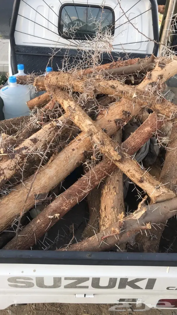 حطب للبيع 