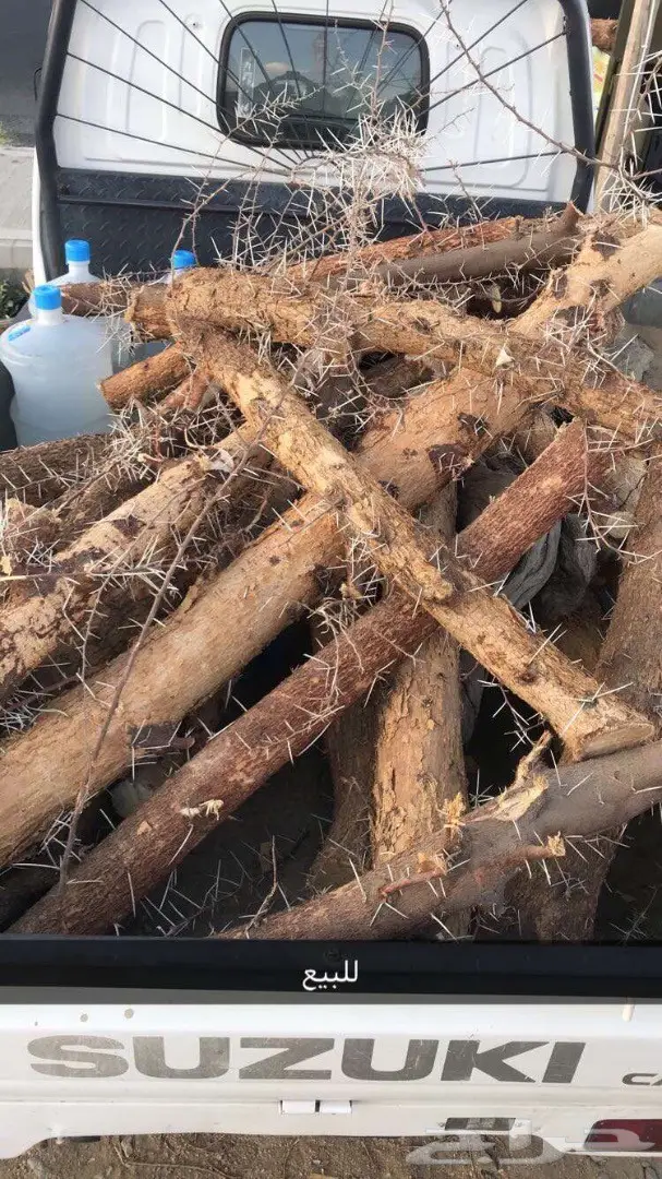 حطب للبيع  (image 2)