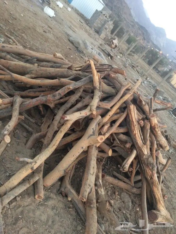 ح - حطيب لبيع