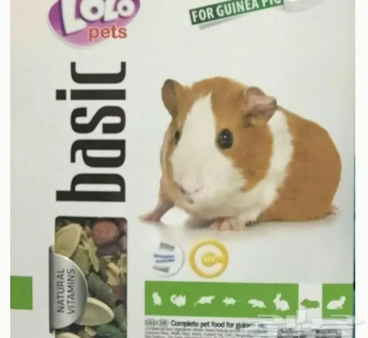 هامستر للبيع (image 2)