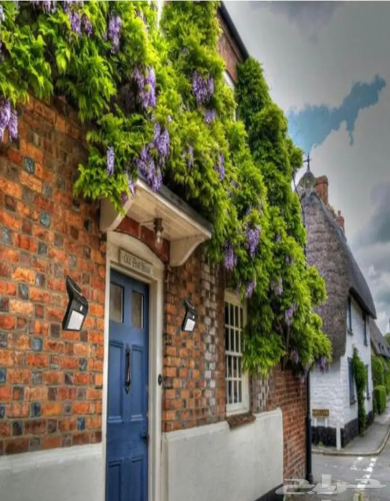 لمبه ليد بالطاقه الشمسيهSolar LED (image 4)