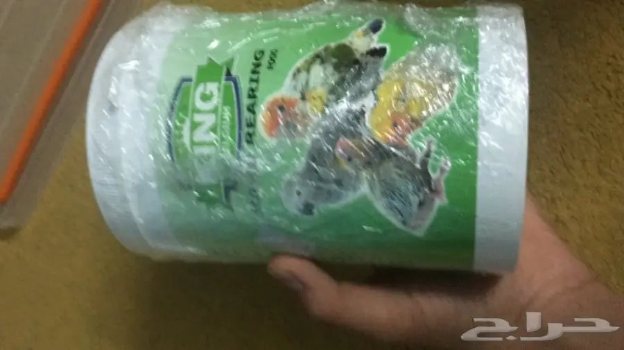 ابغا ببغاء او فرخ لتبني او البيع  (image 3)